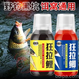 钓鱼小药
