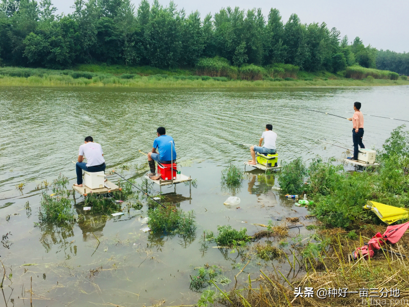 野钓场景钓鱼人