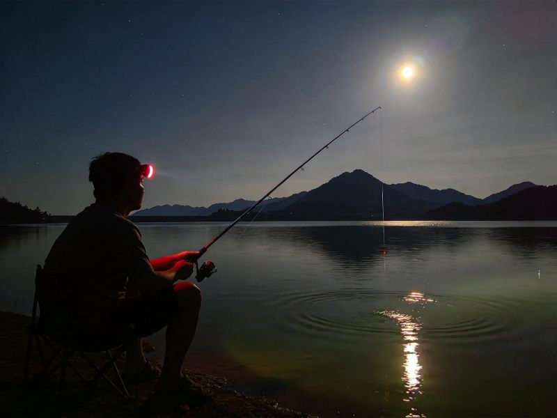 夏季夜钓湖边场景 - 头灯微光映照宁静水面